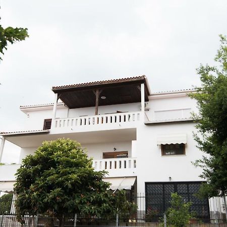 Villa Bivas Nikolaos PalaiónTsiflíkion Exterior foto